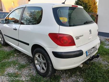Peugeot 307 2004
