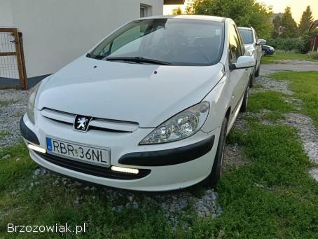 Peugeot 307 2004