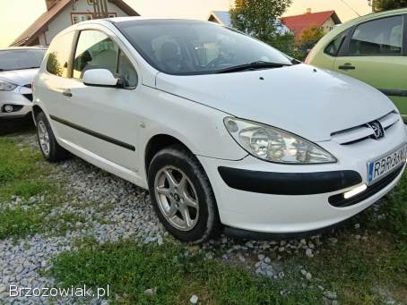 Peugeot 307 2004
