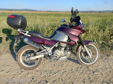 Kawasaki KLE 500  1999