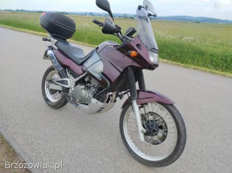 Kawasaki KLE 500  1999