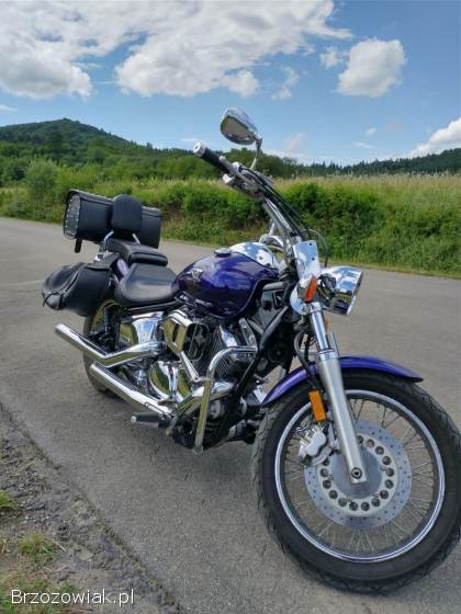 Yamaha XVS Custom 2004