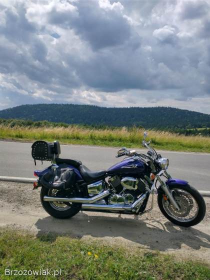 Yamaha XVS Custom 2004