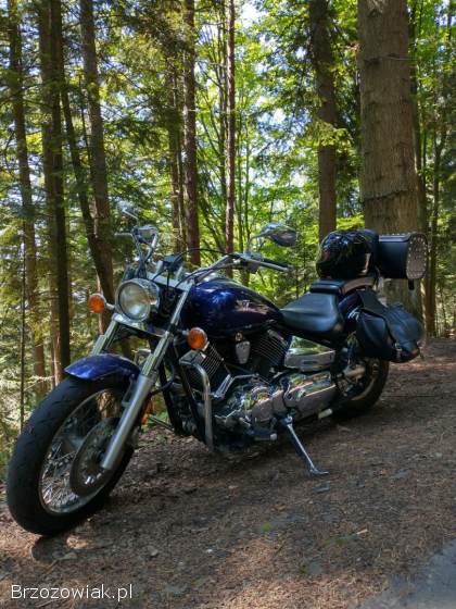 Yamaha XVS Custom 2004