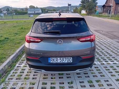 Opel Grandland X 2019