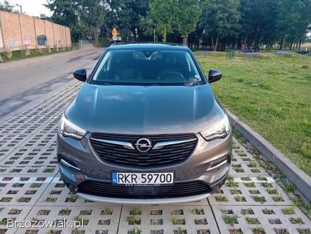 Opel Grandland X 2019