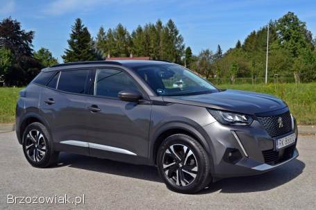 Peugeot 2008 2021