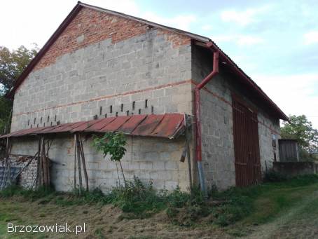 Dom na sprzedaż 100 m² plus budynek gospodarczy