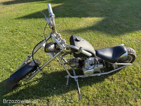 Chopper 50ccm 2022