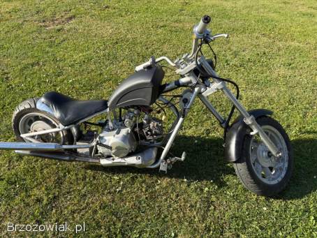 Chopper 50ccm 2022