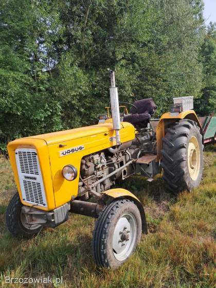 Ursus C360