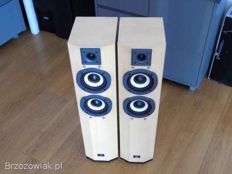 Kolumny Technics SB-CA21 sprawne.  DOSTAWA.