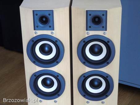 Kolumny Technics SB-CA21 sprawne.  DOSTAWA.