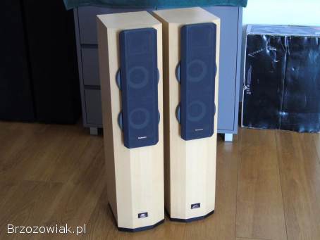 Kolumny Technics SB-CA21 sprawne.  DOSTAWA.