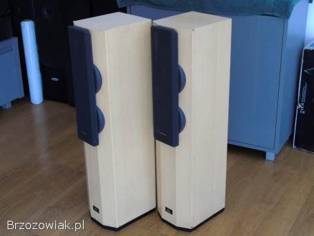 Kolumny Technics SB-CA21 sprawne.  DOSTAWA.