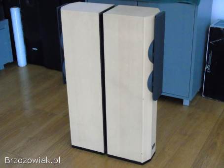 Kolumny Technics SB-CA21 sprawne.  DOSTAWA.