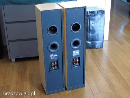 Kolumny Technics SB-CA21 sprawne.  DOSTAWA.
