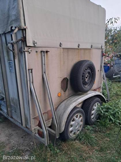 Przyczepa konna