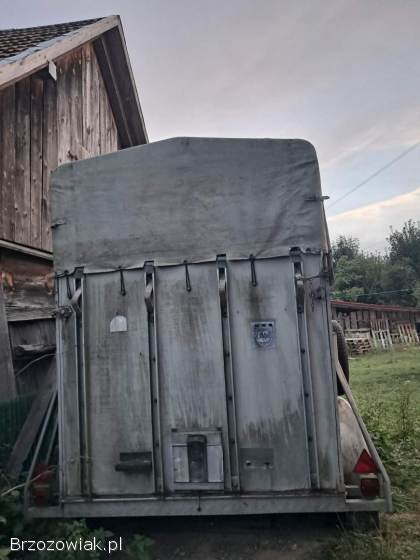Przyczepa konna