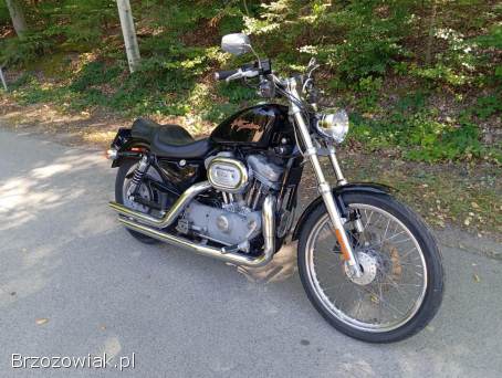 Harley-Davidson Sportster Custom 883 2000