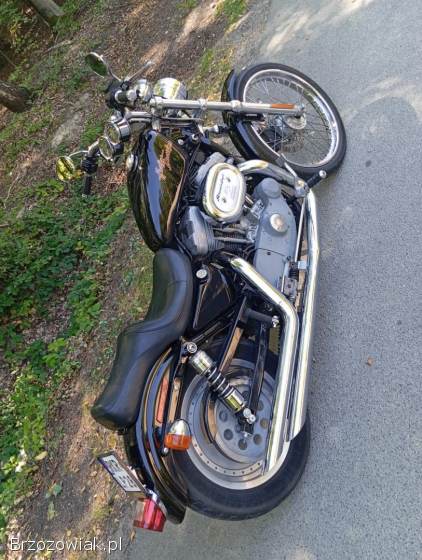 Harley-Davidson Sportster Custom 883 2000