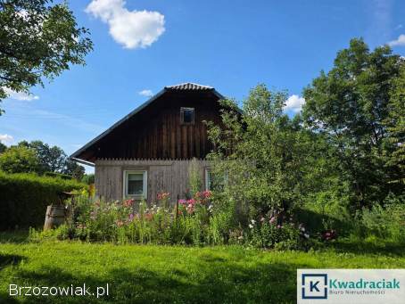 Dom z działką 17a i działką rolną,  Krzywe,  gmina Dydnia