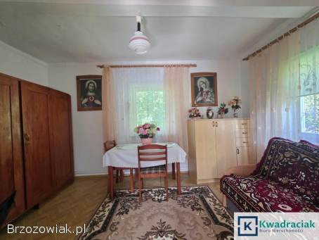 Dom z działką 17a i działką rolną,  Krzywe,  gmina Dydnia