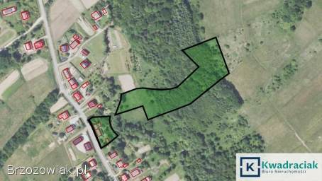 Dom z działką 17a i działką rolną,  Krzywe,  gmina Dydnia