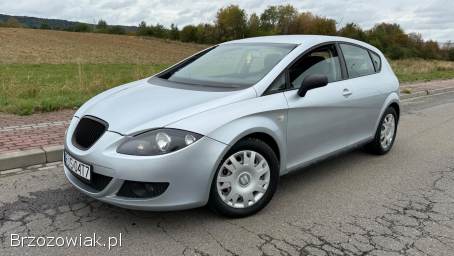 Seat Leon 1.  9TDi 105km 2005