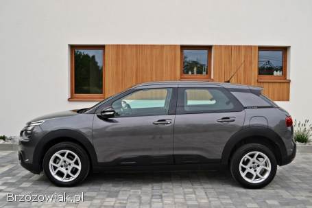 Citroën C4 Cactus Lift 2019