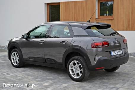 Citroën C4 Cactus Lift 2019
