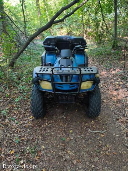 Quad Buyang 300 4x4 z homologacją