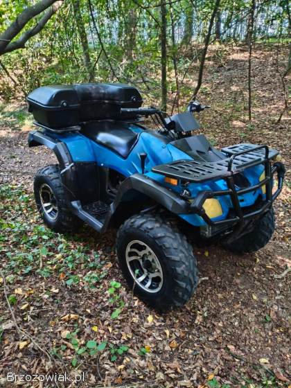 Quad Buyang 300 4x4 z homologacją
