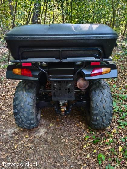 Quad Buyang 300 4x4 z homologacją