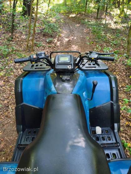 Quad Buyang 300 4x4 z homologacją