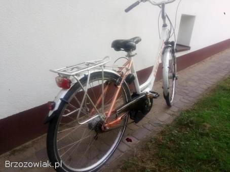 Rower elektryczny Gepida silnik Yamaha