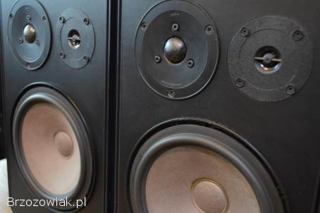 Porządne i Dynamiczne BRAUN LS-65 Świetny Stan,  Mega Bass Wysyłka