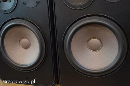 Porządne i Dynamiczne BRAUN LS-65 Świetny Stan,  Mega Bass Wysyłka