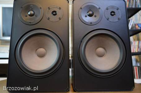Porządne i Dynamiczne BRAUN LS-65 Świetny Stan,  Mega Bass Wysyłka