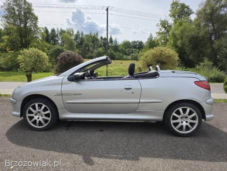Peugeot 206 CC 2005