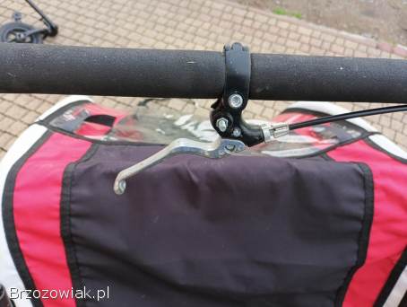 Riksza rowerowa