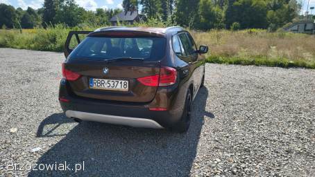 BMW X1 E84 sDrive18d  2010