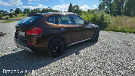 BMW X1 E84 sDrive18d  2010