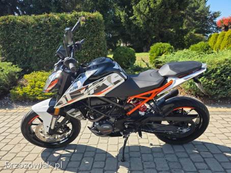 KTM Duke 125-Kat.  B.   2019
