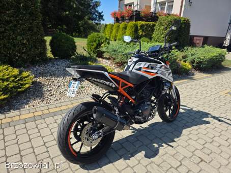 KTM Duke 125-Kat.  B.   2019