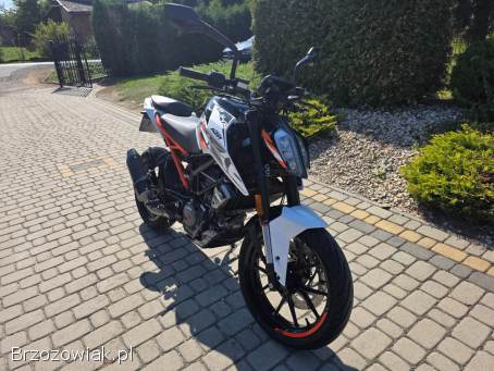 KTM Duke 125-Kat.  B.   2019