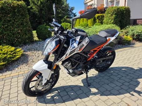 KTM Duke 125-Kat.  B.   2019