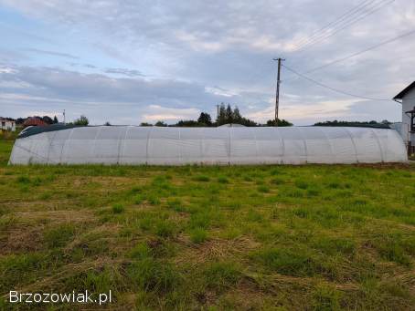 TUNEL FOLIOWY 16x4