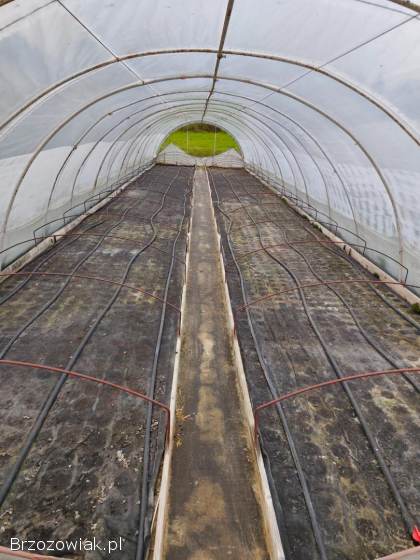 TUNEL FOLIOWY 16x4