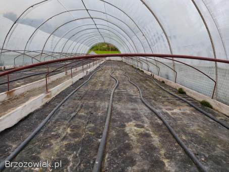 TUNEL FOLIOWY 16x4